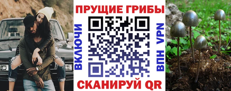 гидра ССЫЛКА  что такое   Ипатово  Псилоцибиновые грибы Magic Shrooms 
