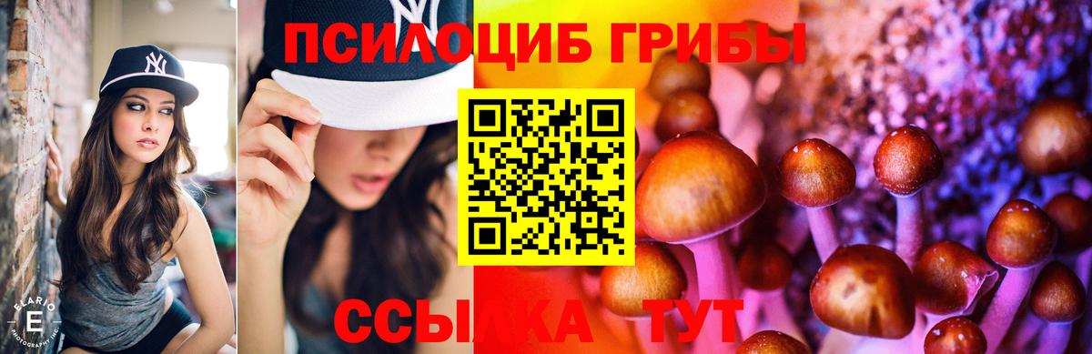 Псилоцибиновые грибы GOLDEN TEACHER Ипатово